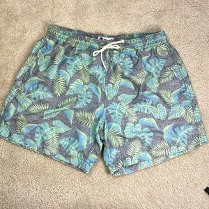 Trunks Swim Trunks